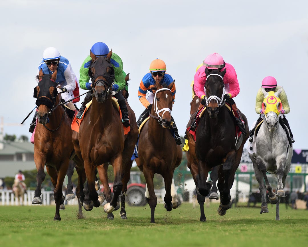 F Five (2nd from left) wins Allen Jerkens Handicap at GP Dec 24 2023