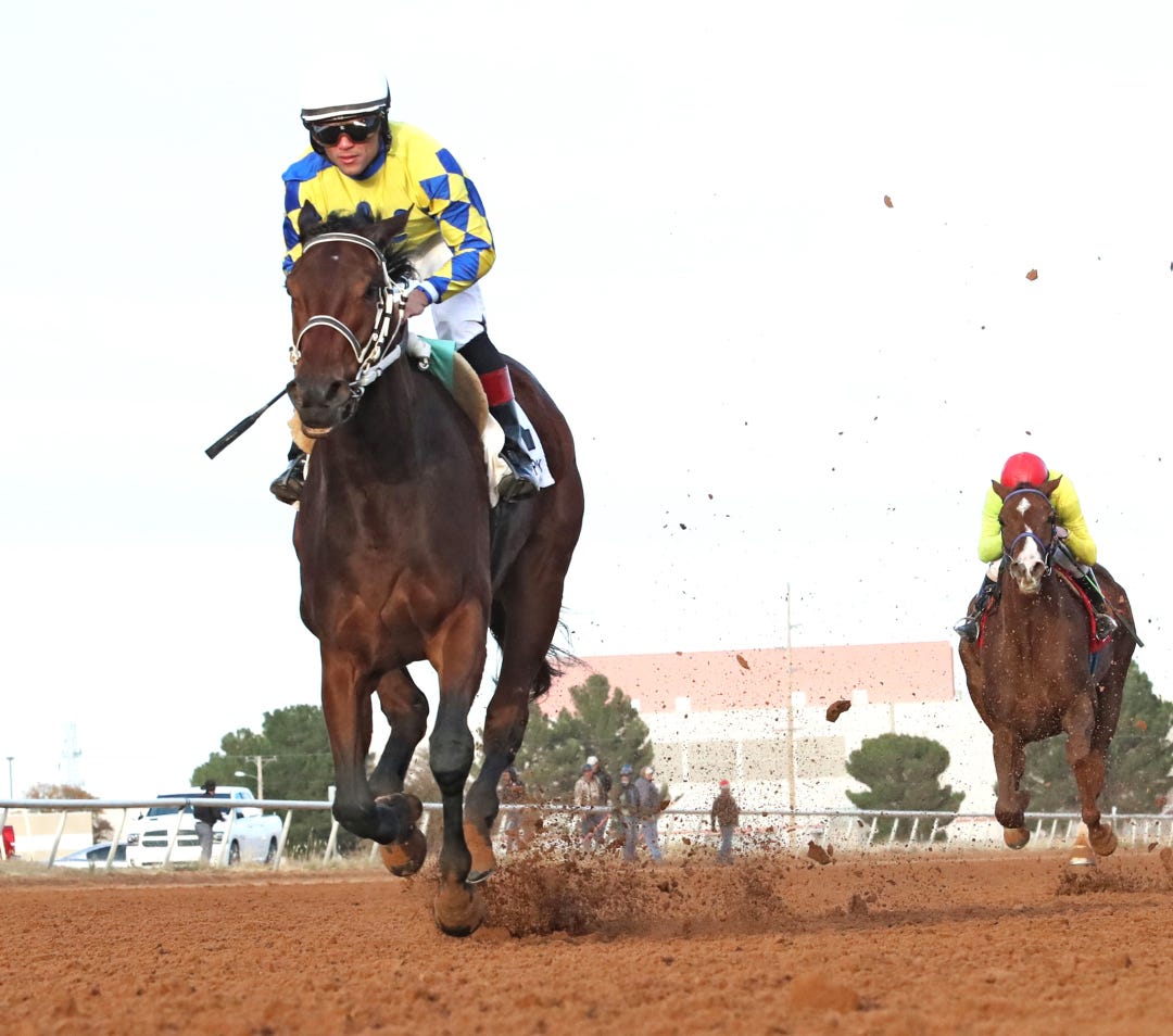 Flying Connection wins Zia Oaks Nov 28 2023