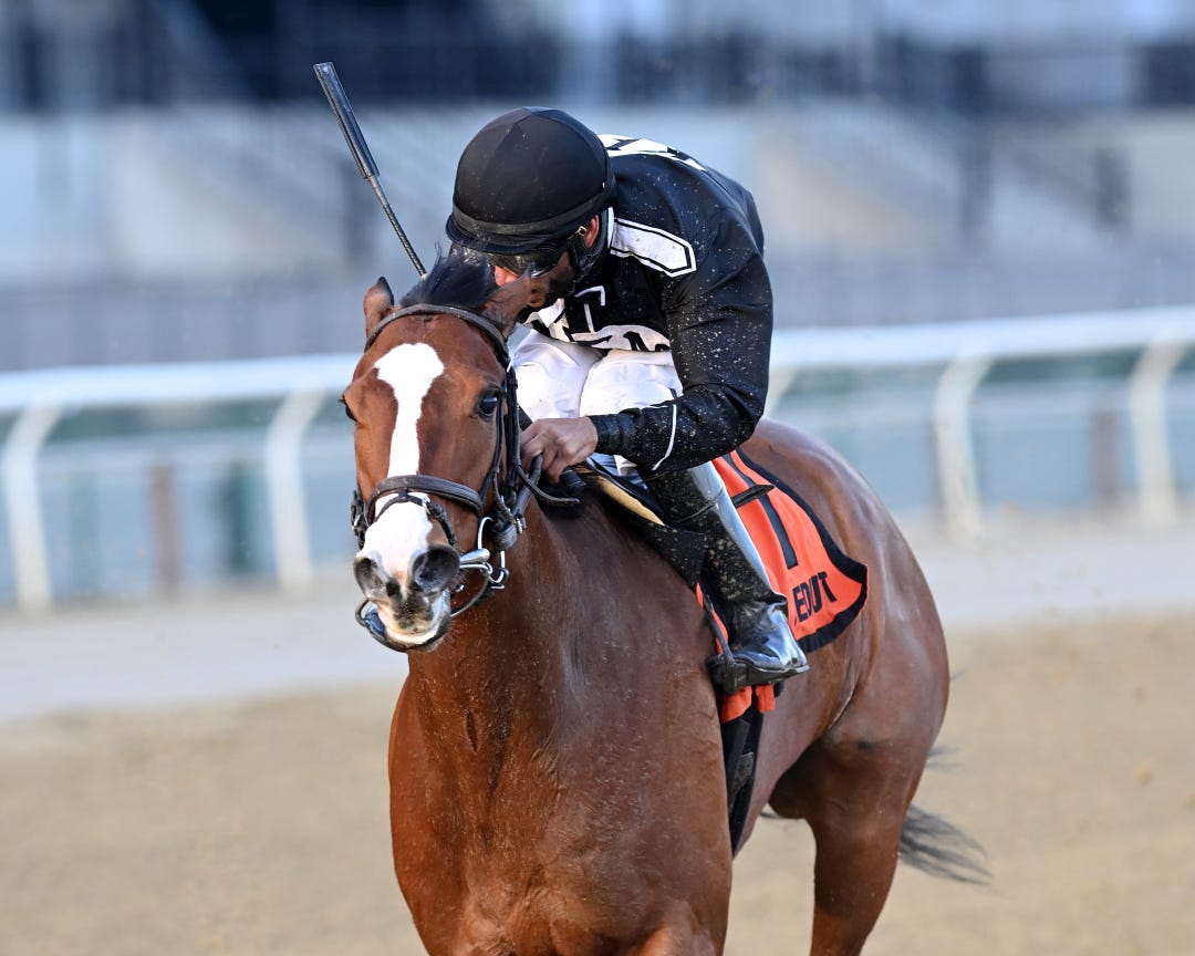 Hot Fudge wins Garland of Roses at AQU Dec 9 2023