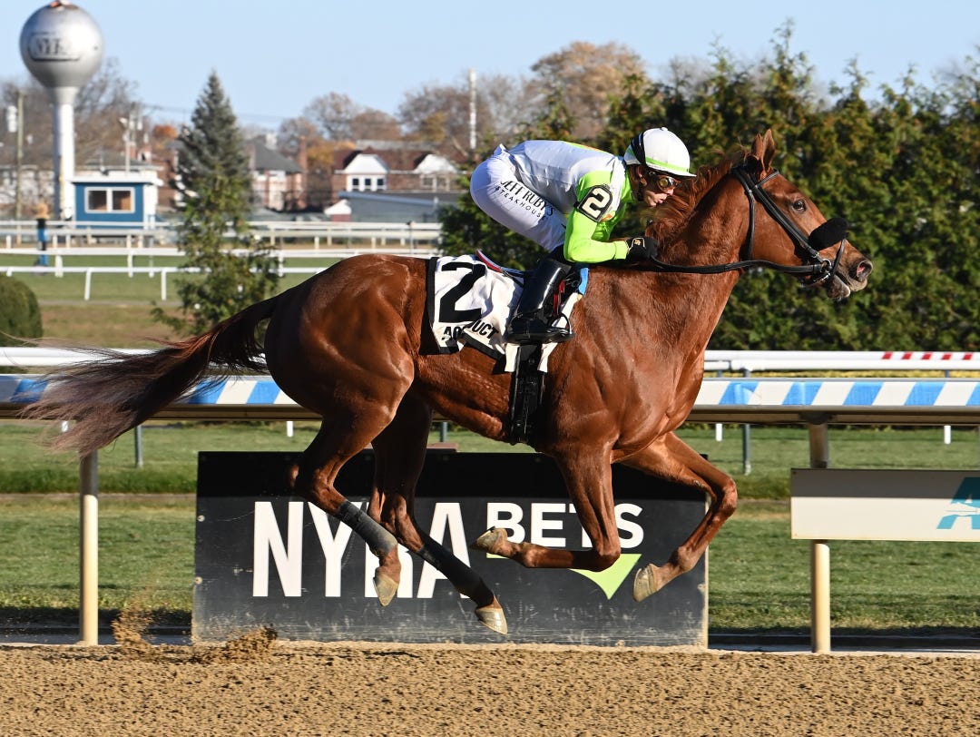 P Mutter Pickle wins maiden at AQU Nov 19 2023