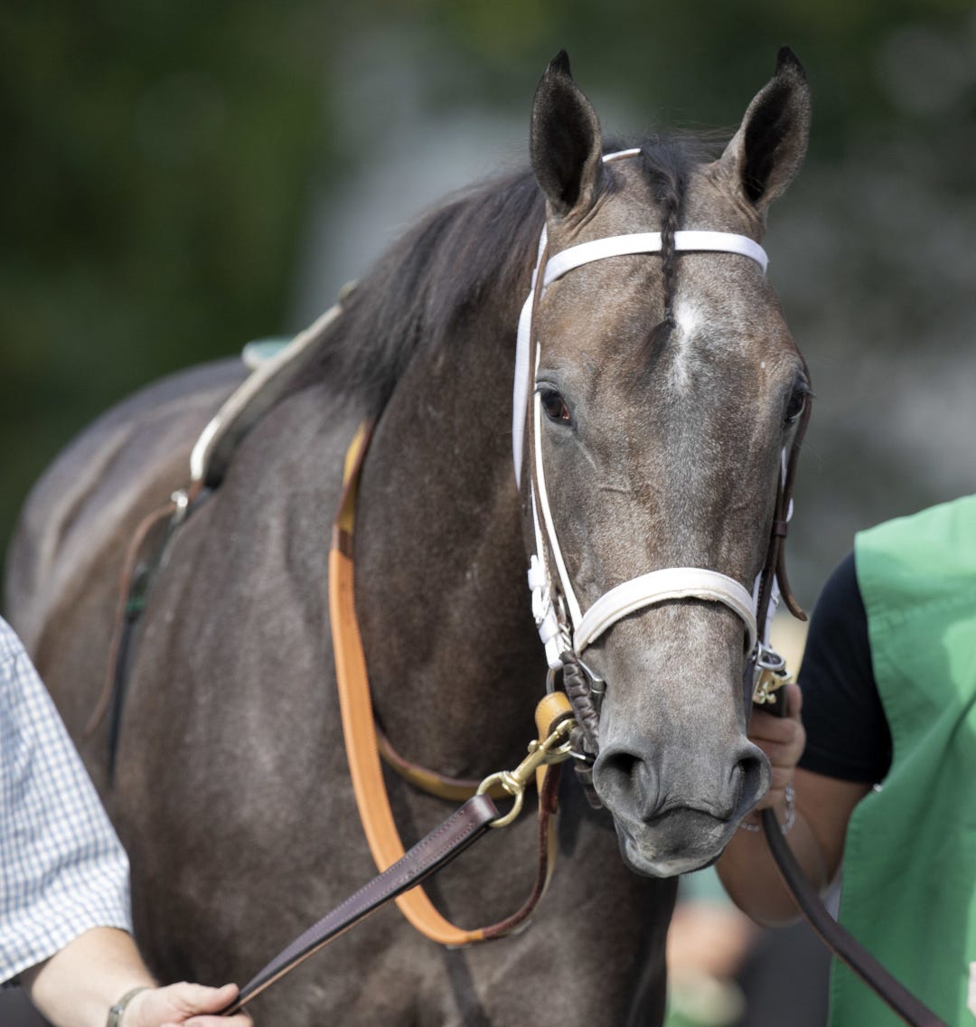 Saratoga Secret at SAR July 13 2023