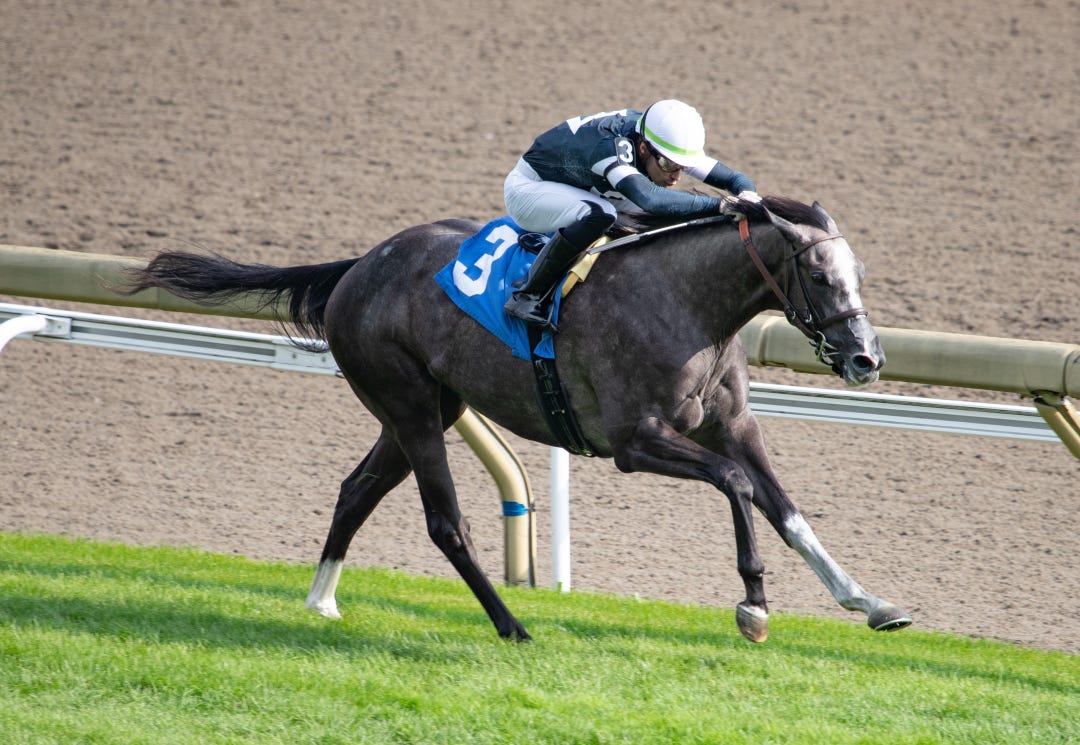 Time to Dazzle wins maiden at WO Sept 17 2023