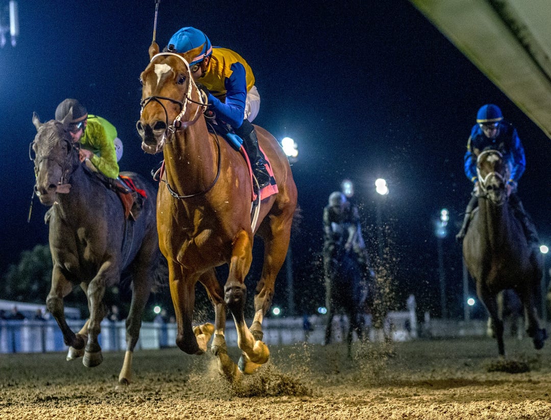 Track Phantom wins Gun Runner at FG Dec 23 2023