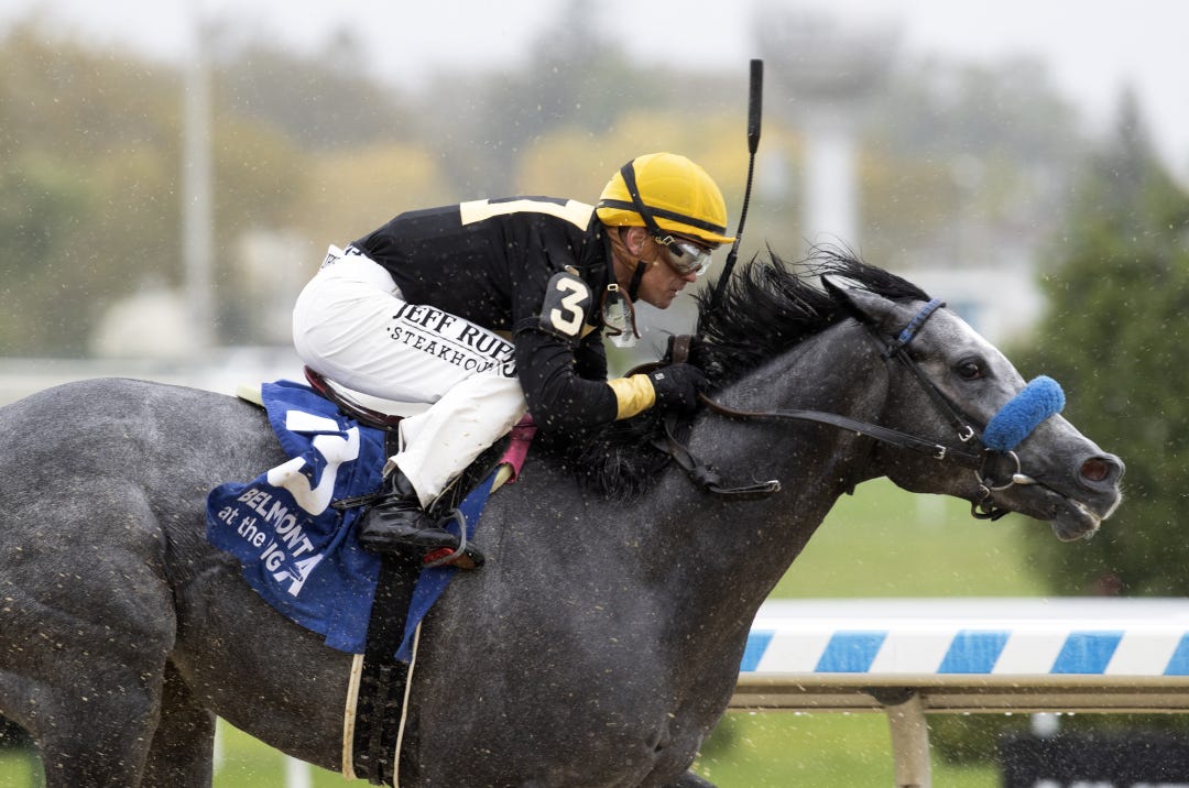 White Chocolate - not winner - at AQU Oct 7 2023