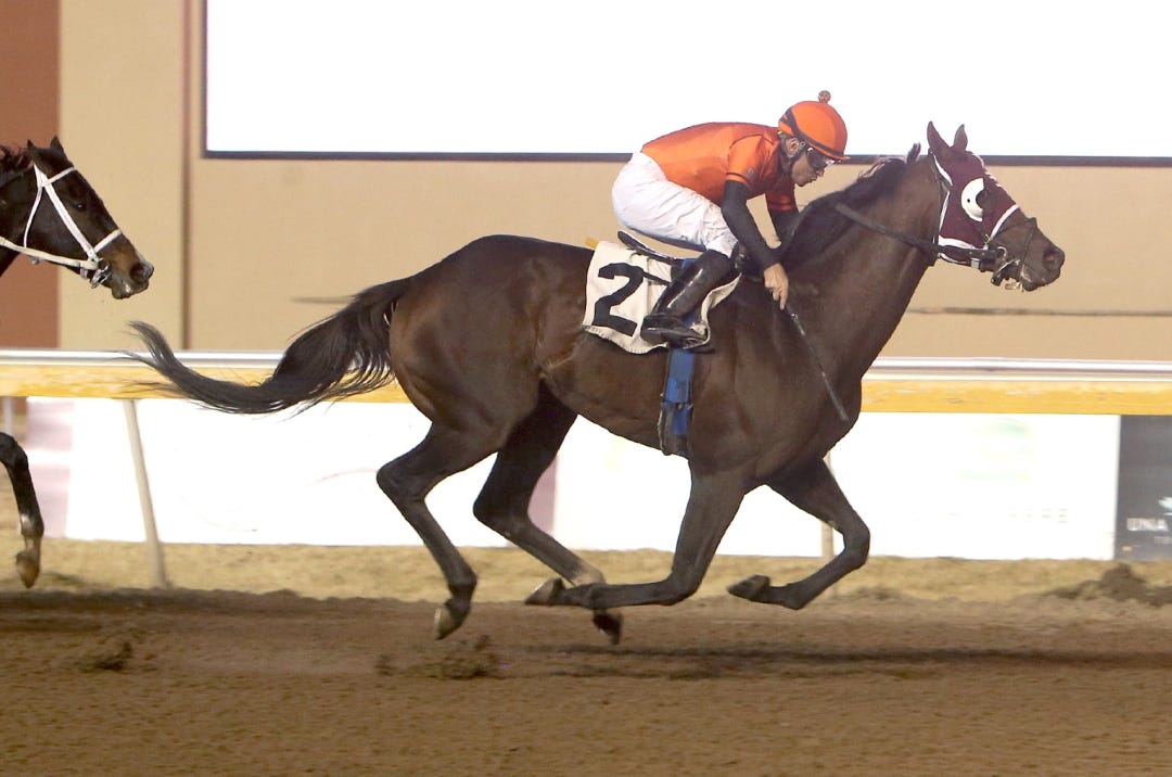 Chrome Baby wins at RP Nov 14 2023