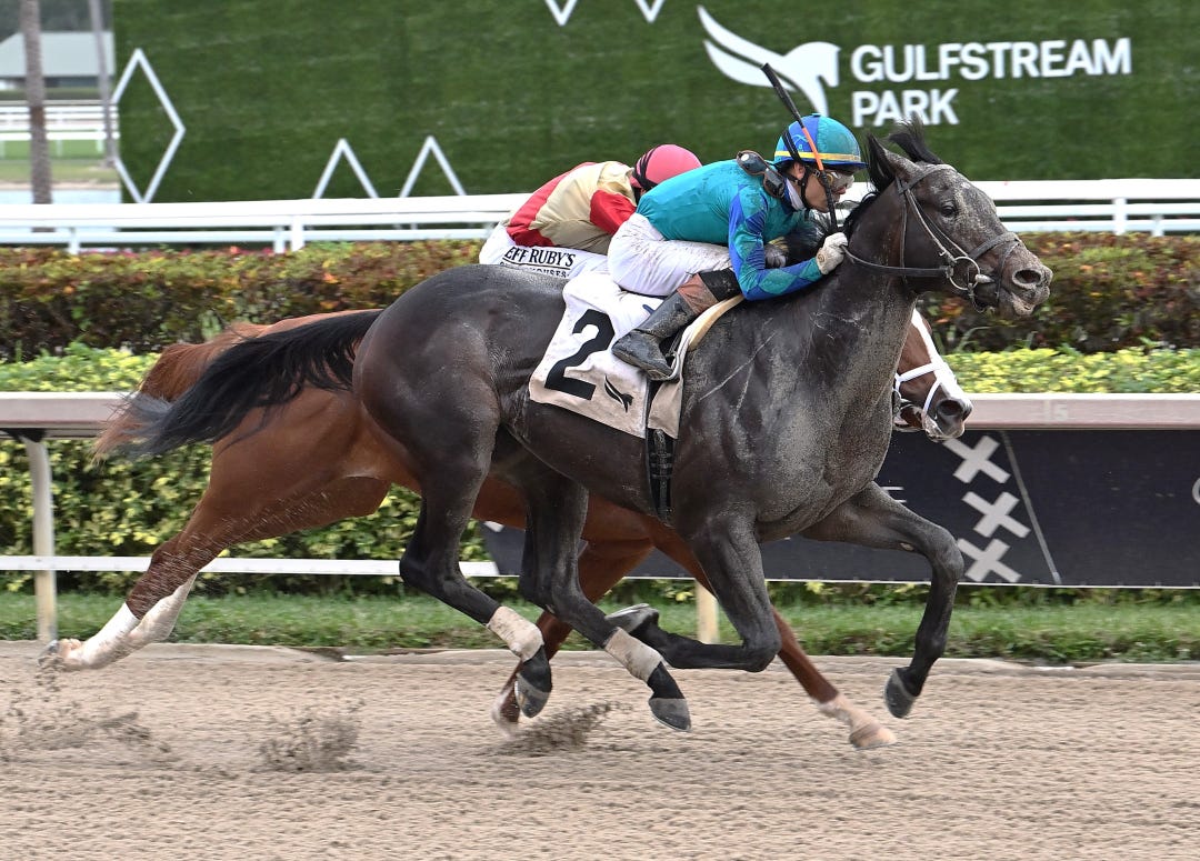 Conquest Warrior wins maiden at GP Jan 13 2024