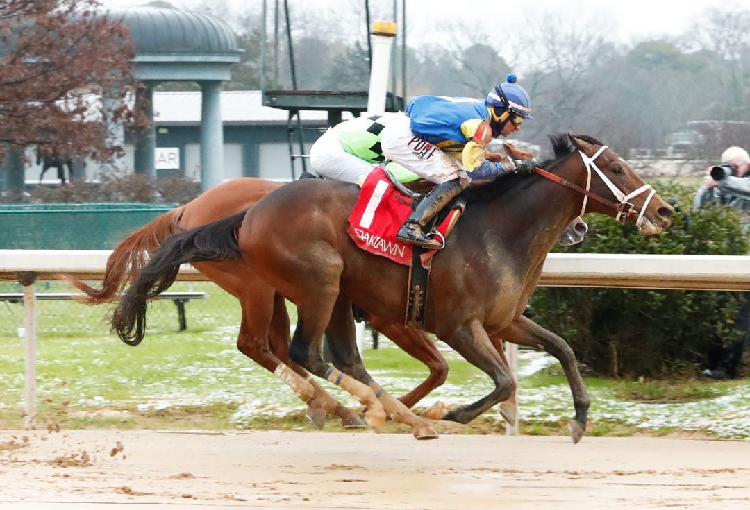 Goldbrick wins maiden at OP Jan 5 2024