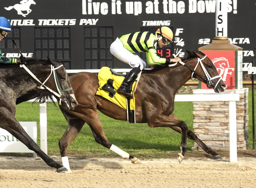 Let Them Watch wins the Sandpiper at TAM Dec 2 2023