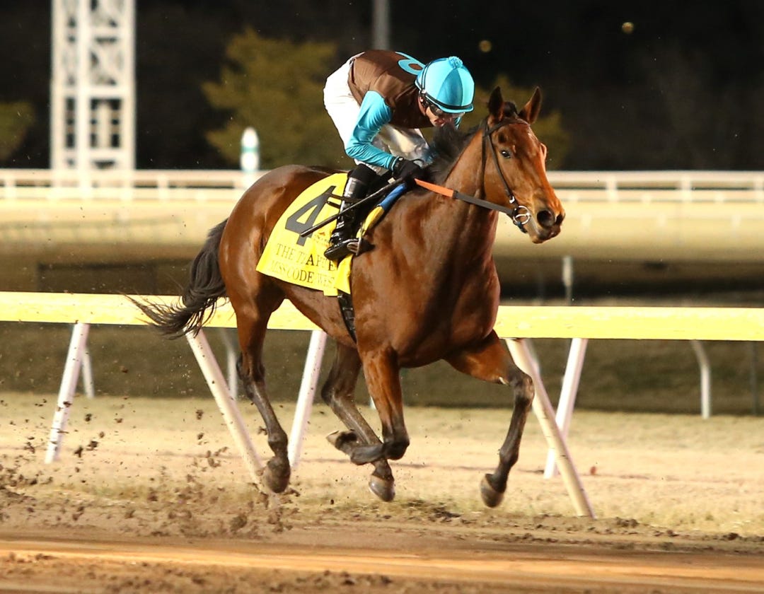 Miss Code West wins Trapeze at RP Dec 15 2023