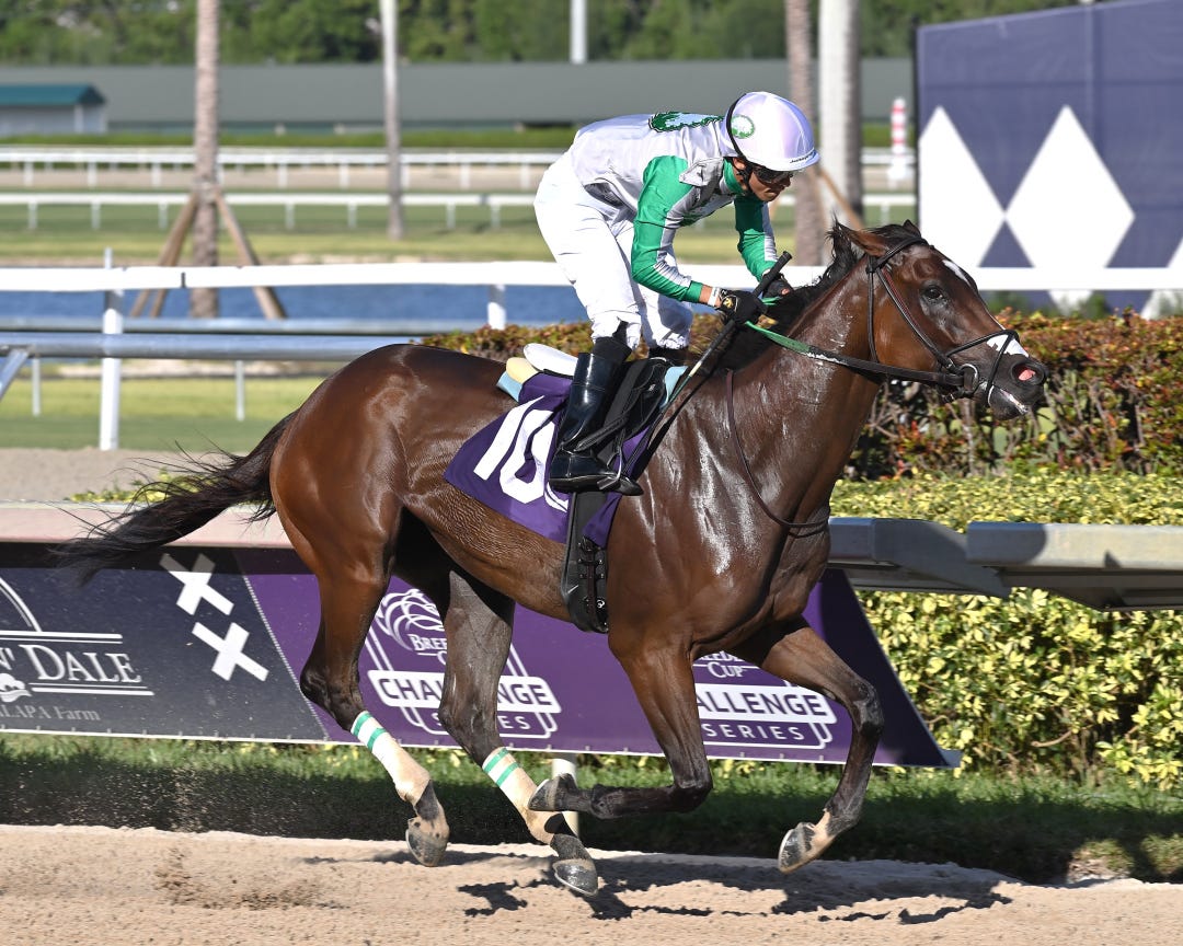 Octane wins Gil Campbell Handicap at GP Oct 21 2023
