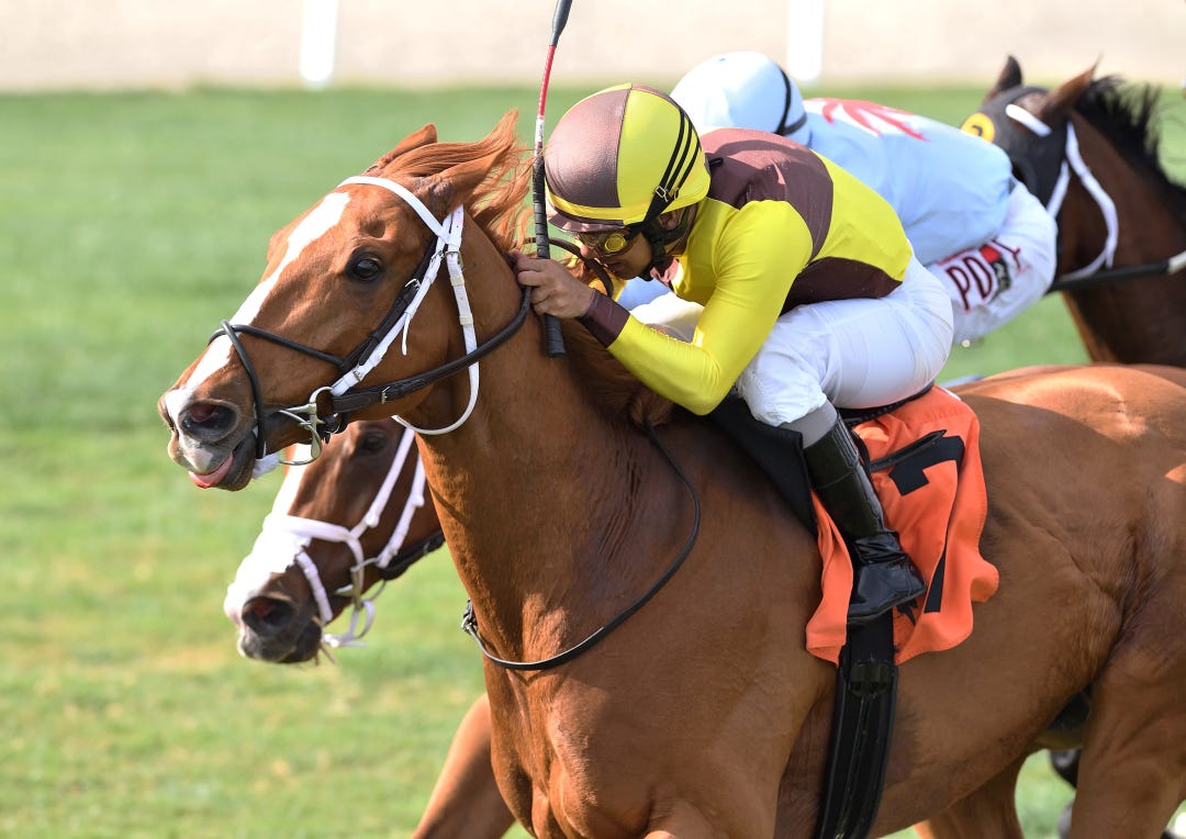 Roaring Forties wins Sunshine Turf at GP Jan 21 2023