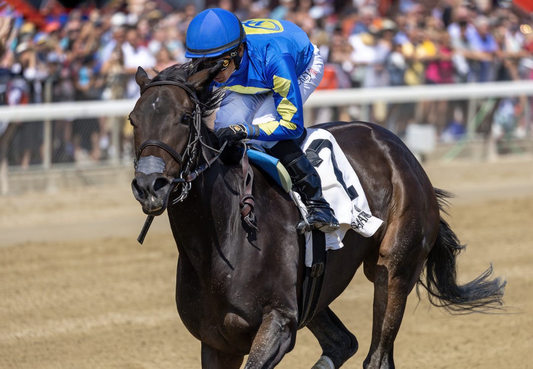 Security Code wins at SAR Sept 1 2023