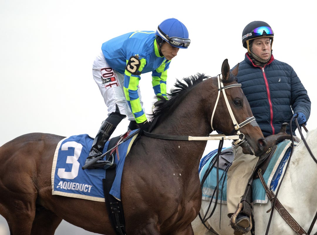 Senor Buscador before Cigar Mile at AQU Dec 2 2023