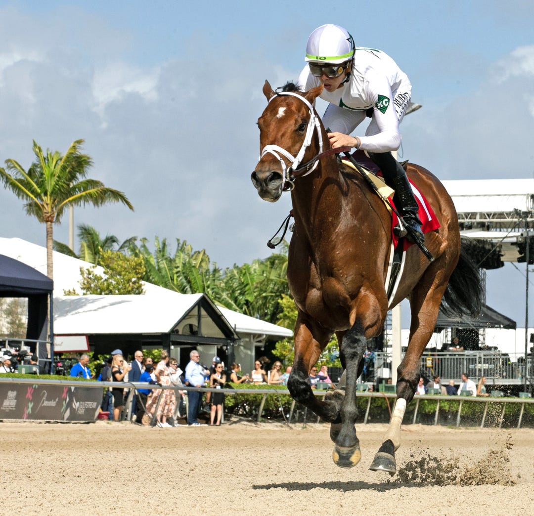 Speak Easy wins debut at GP Jan 27 2024