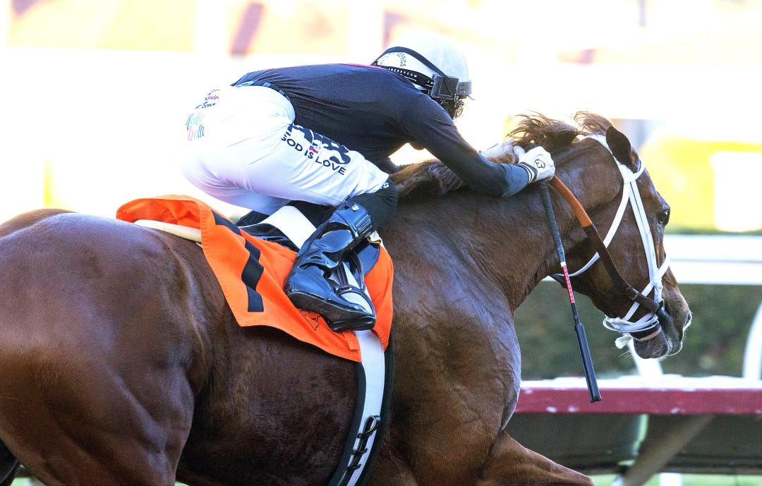 The Chosen Vron wins the Cary Grant at DMR Nov 18 2023