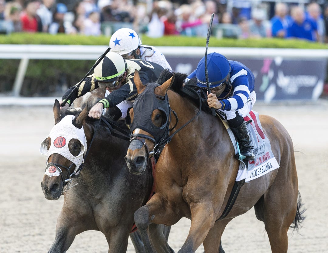 Tumbarumba (right) noses out Castle Chaos in Fred Hooper at GP Jan 27 2024