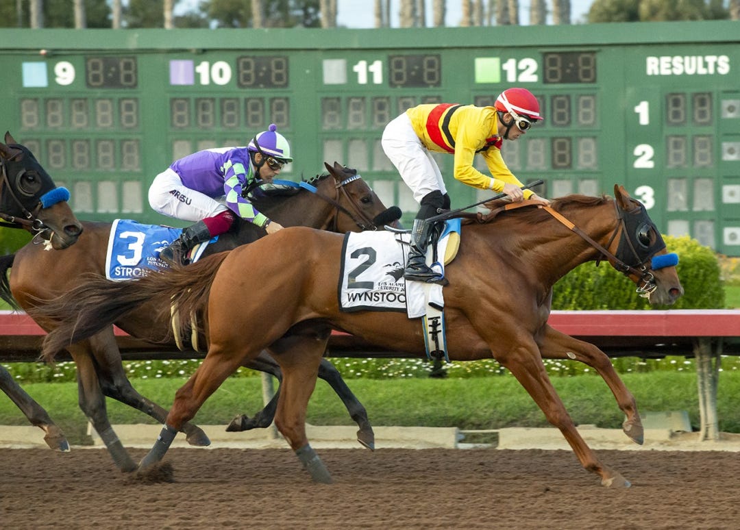 Wynstock wins Los Alamitos Futurity Dec 16 2023