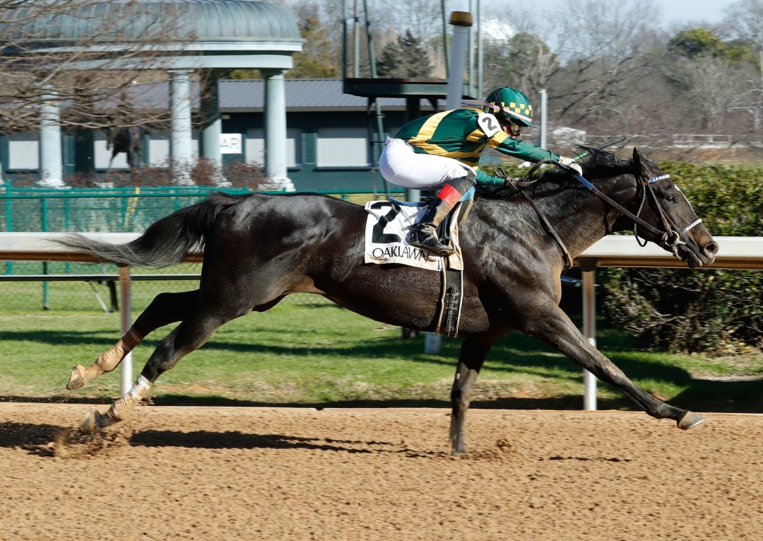 Common Defense wins maiden at OP Jan 13 2024