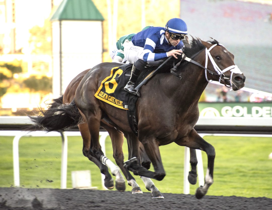 Endlessly wins El Camino Real Derby at GG Feb 10 2024