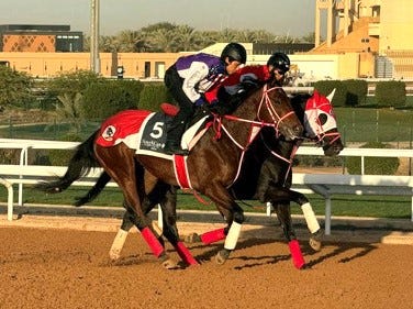 Forever Young trains at King Abulaziz mid-February 2024