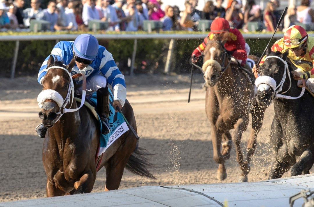 Frankie's Empire wins Swale at GP Feb 3 2024