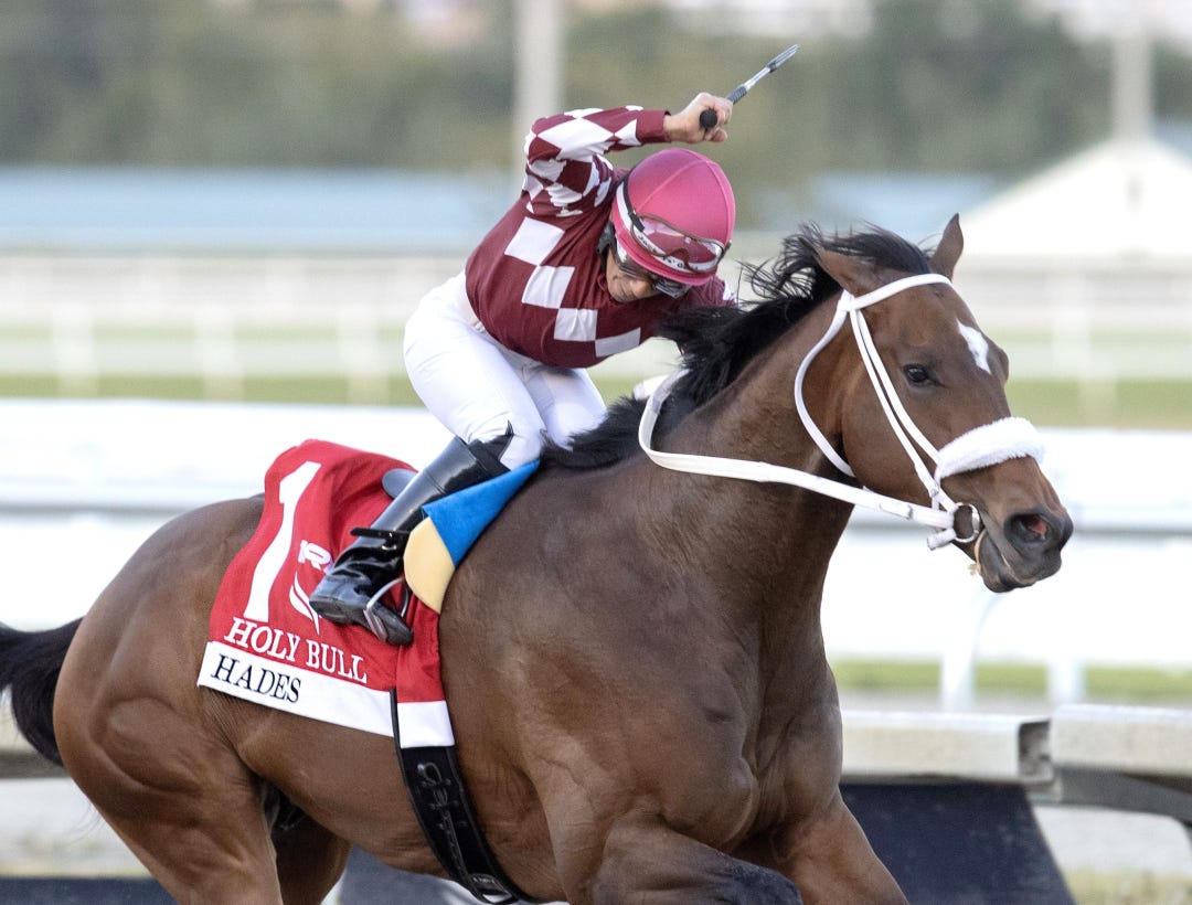 Hades wins Holy Bull at GP Feb 3 2024