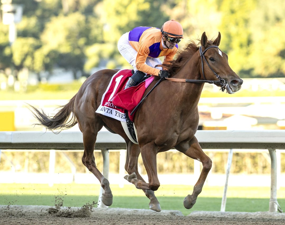 Kopion wins Santa Ynez at SA Jan 7 2024