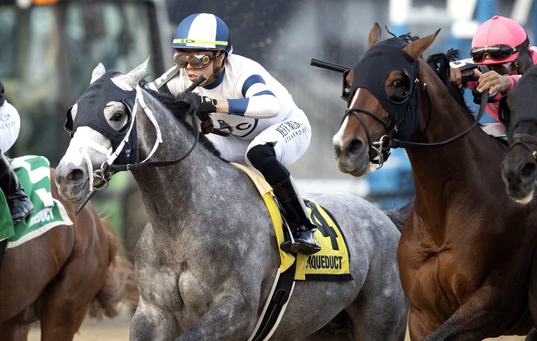 Moonlight (left) at AQU Dec 2 2023