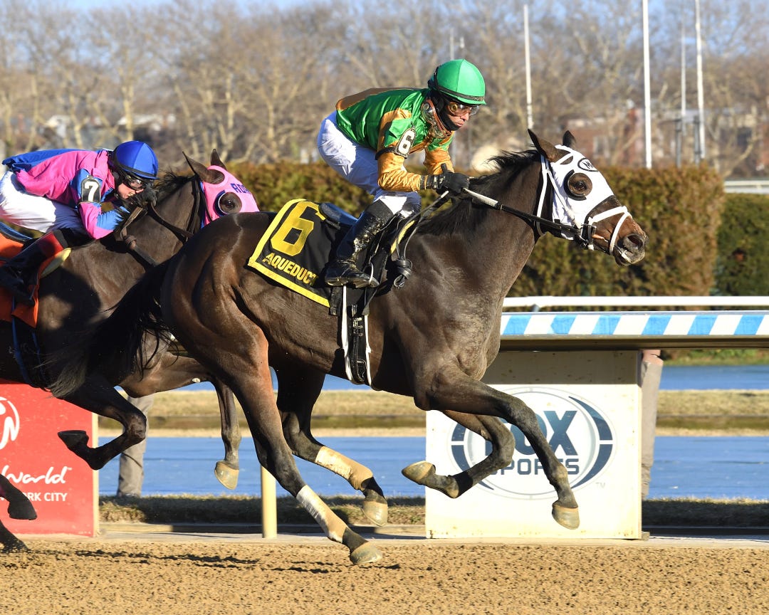 My Mane Squeeze wins Franklin Square at AQU Jan 14 2024