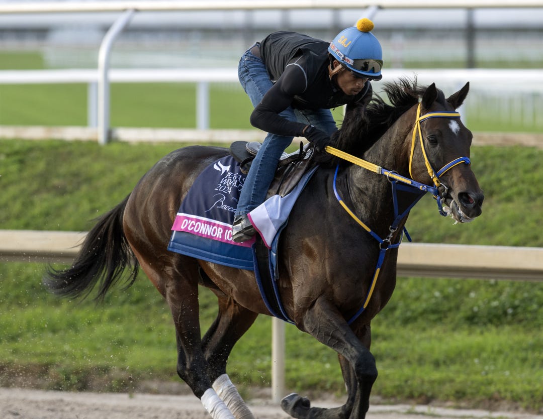 O'Connor trains at GP Jan 25 2024