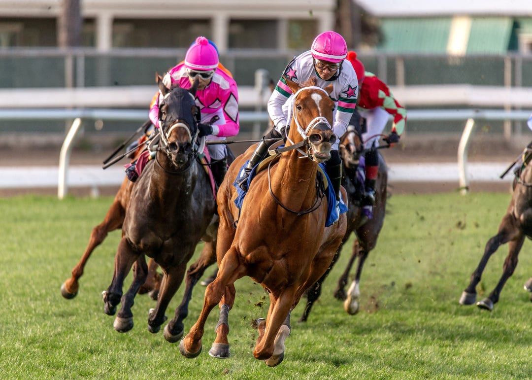 Ova Charged wins Mardi Gras at FG Feb 13 2024