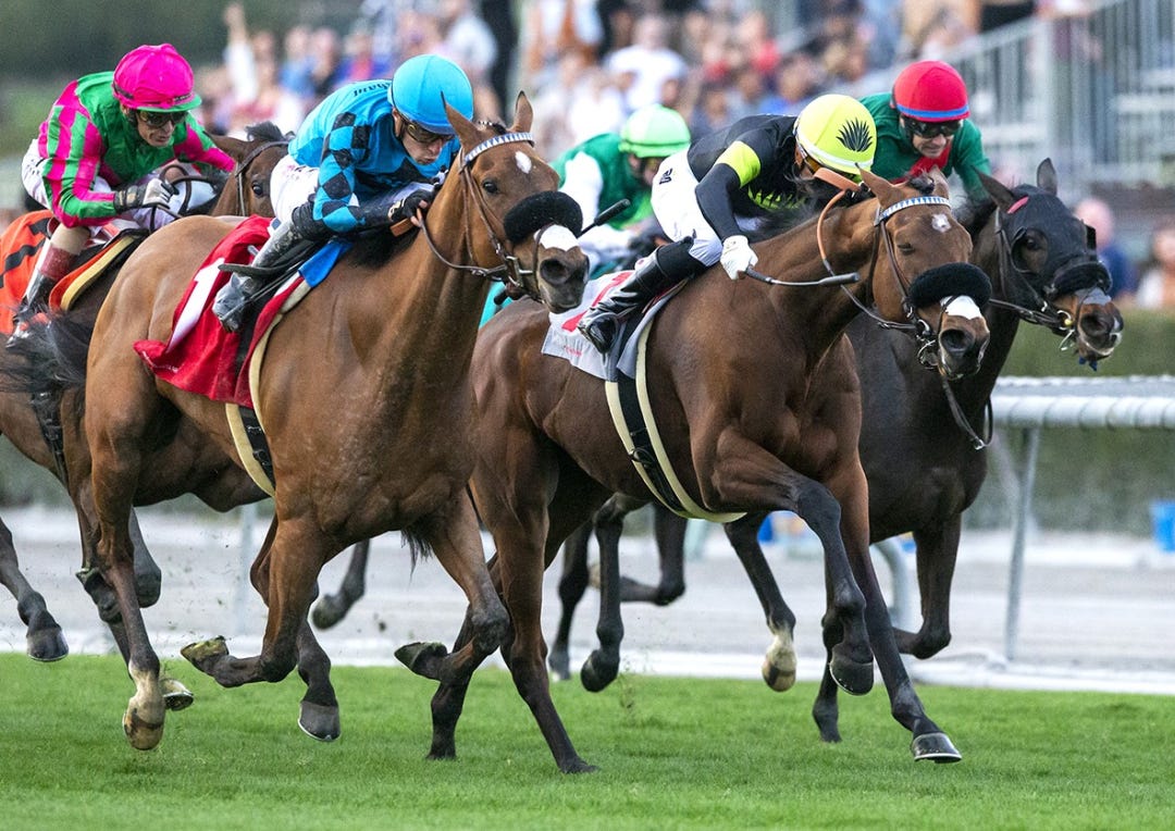 Rhea Moon (left) wins the American Oaks at SA Dec 26 2022