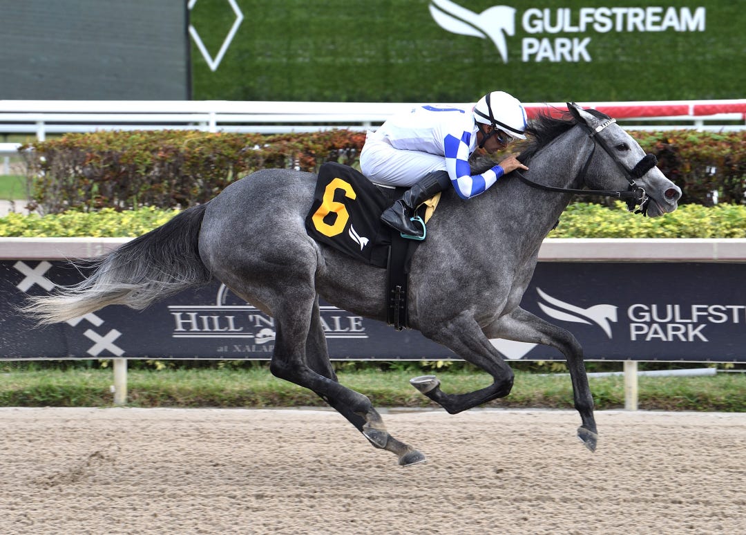 Steel Racer wins at GP Dec 22 2023