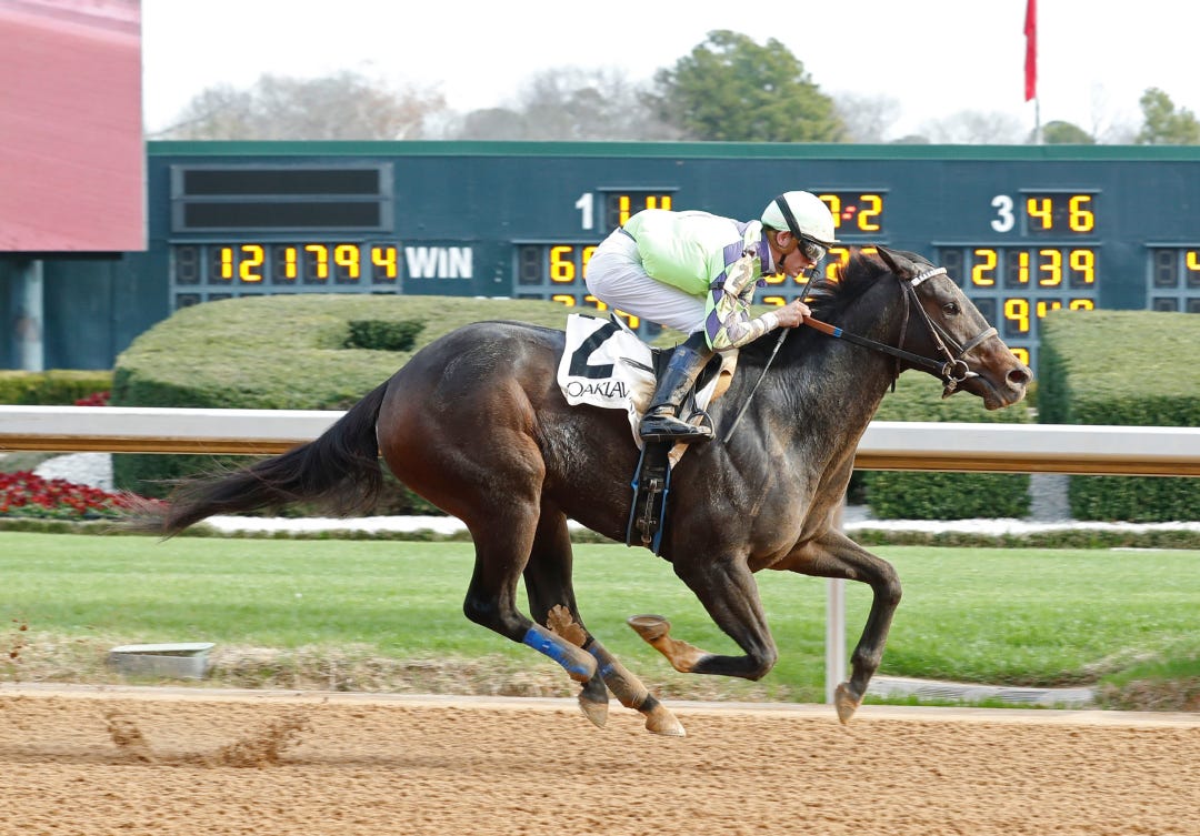 Tanya Showers wins maiden at OP Dec 31 2023