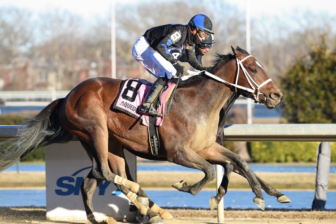 Uncle Heavy wins Withers at AQU Feb 3 2024