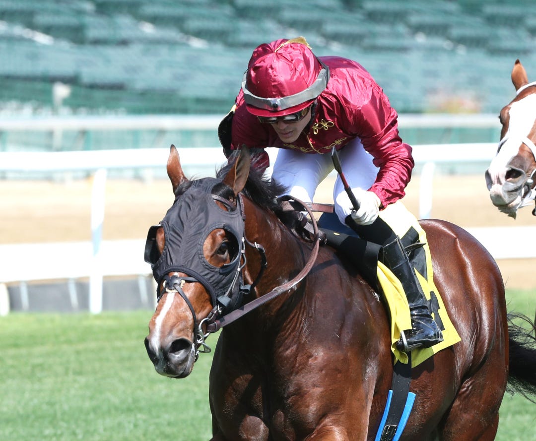 Woodcourt wins at CD Sept 30 2023