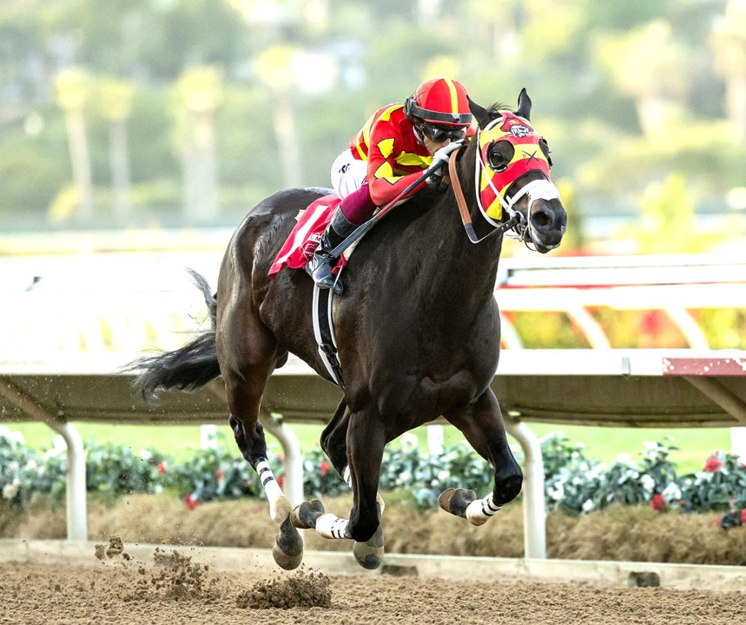 Chancery Way wins the Betty Grable at DMR Nov 12 2023