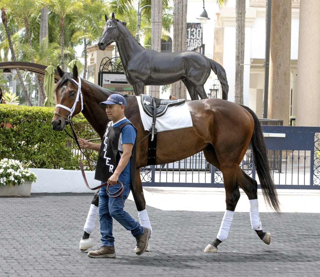Fierceness.Cigar statue at GP March 27 2024