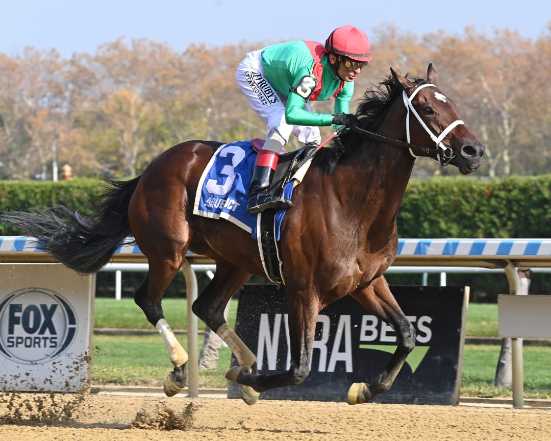 Green Up wins the Pumpkin Pie at AQU Nov 5 2023