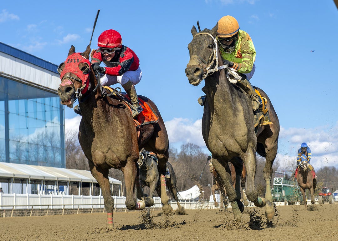 It's Sizzling Time (right) beats Double Crown in John B. Campbell at LRL Feb 17 2024