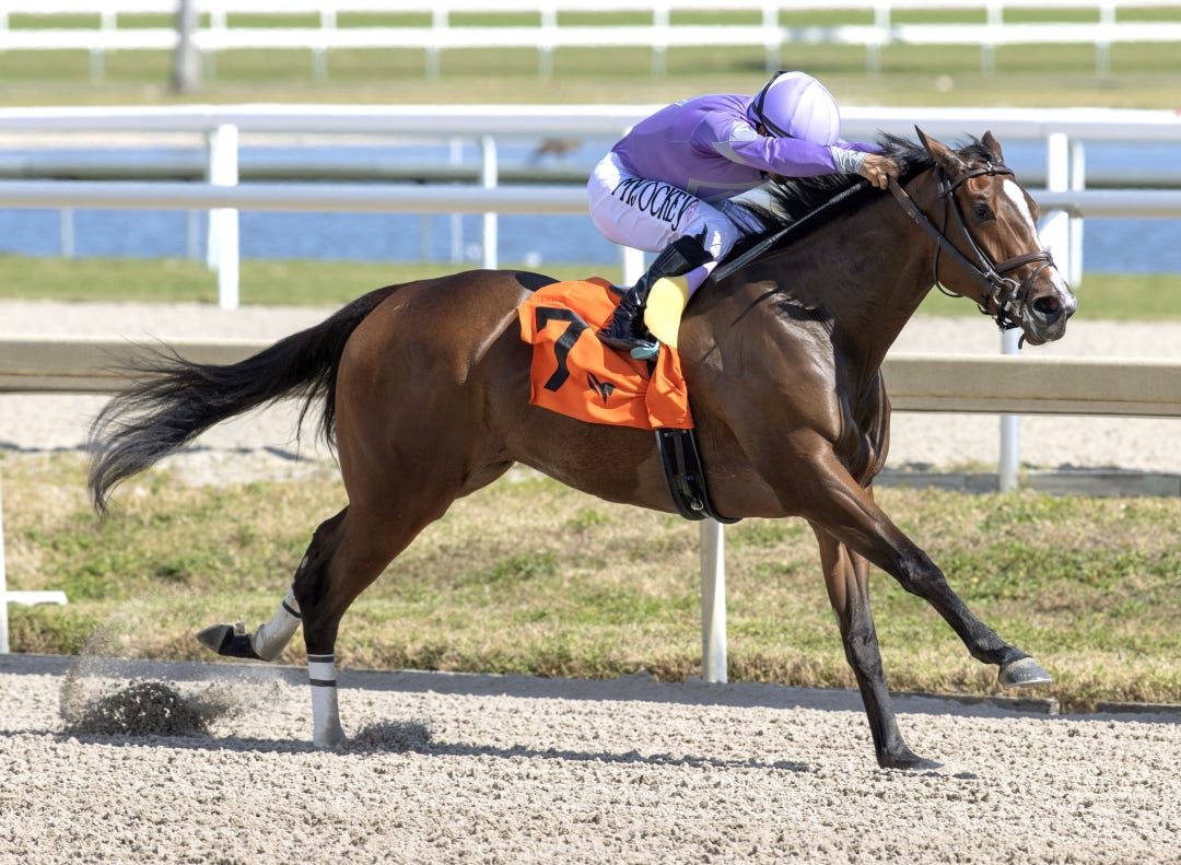 Khozall wins maiden Feb 3 2024