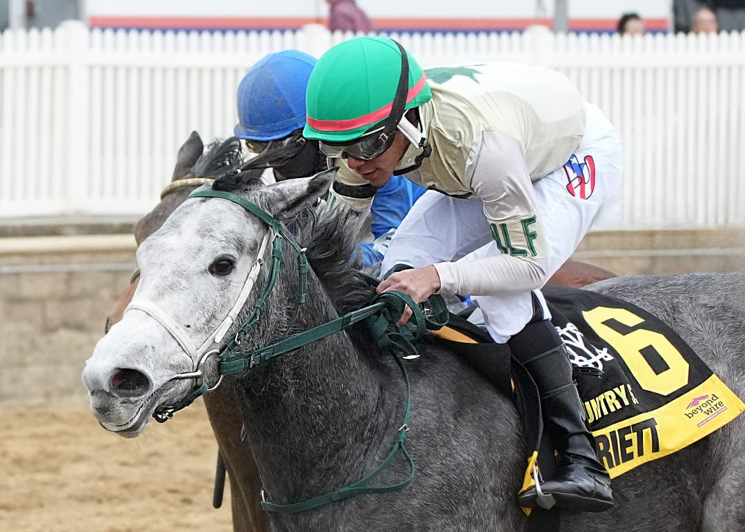 Miss Harriett wins the Wide Country at LRL Feb 24 2024