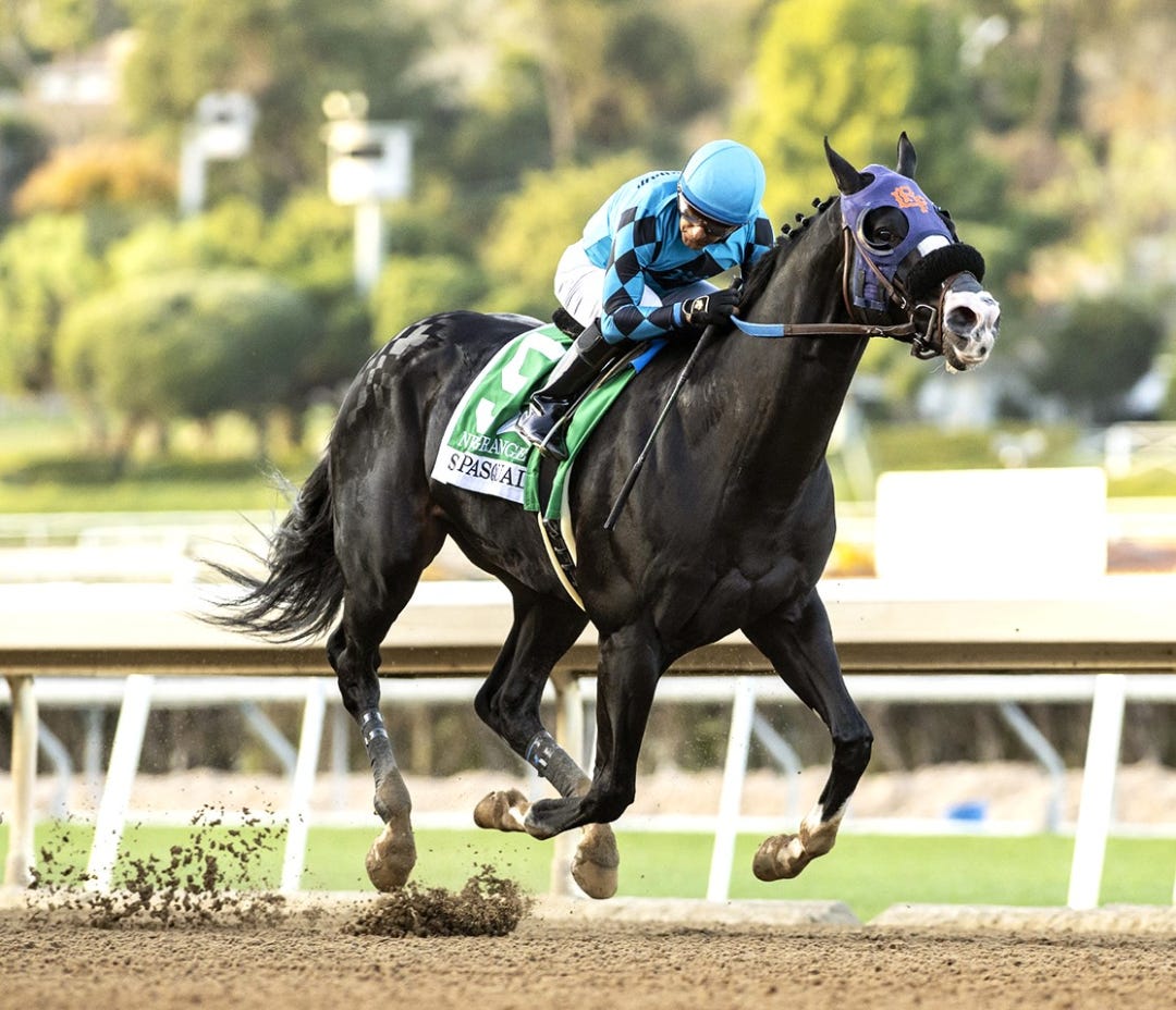 Newgrange wins the San Pasqual at SA Jan 27 2024