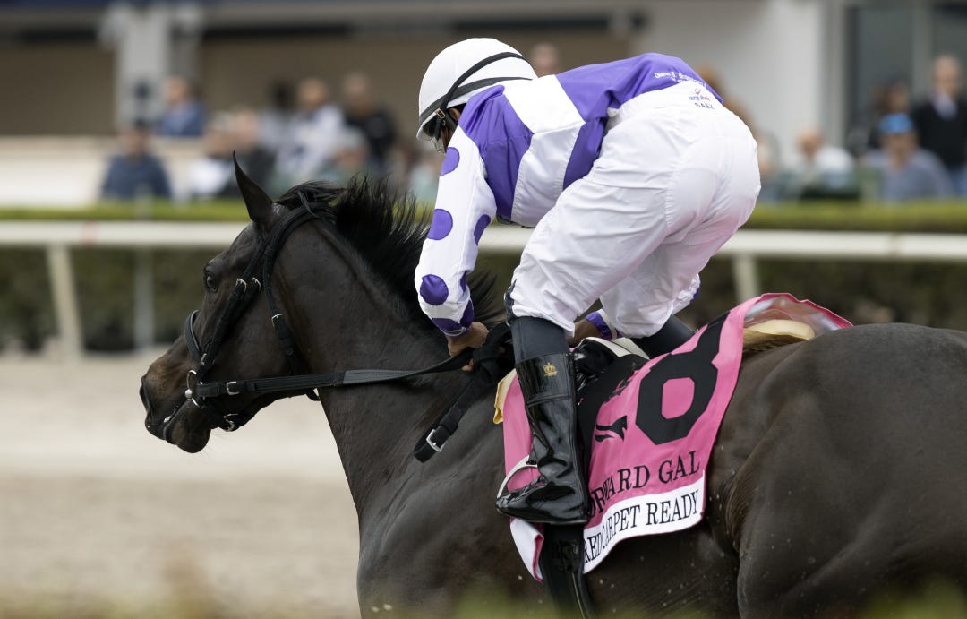 Red Carpet Ready wins the Forward Gal at GP Feb 4 2023