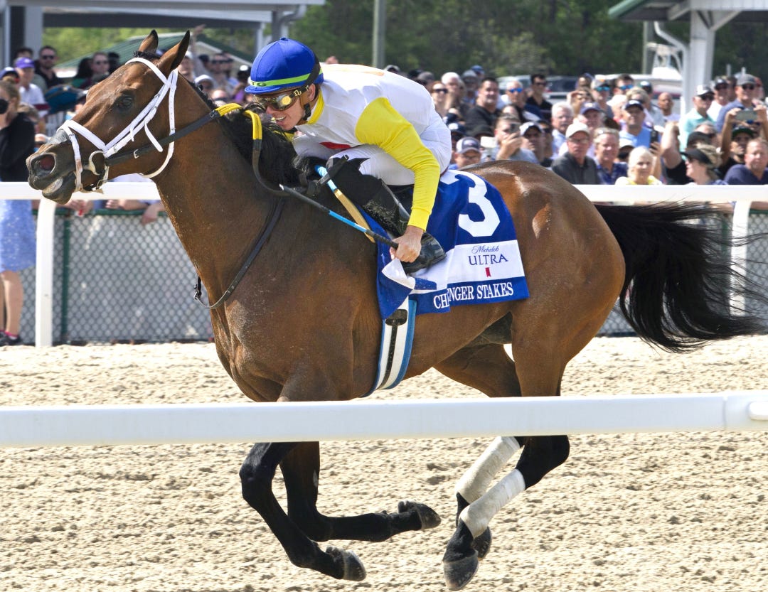 Skippylongstocking wins Challenger at TAM March 9 2024