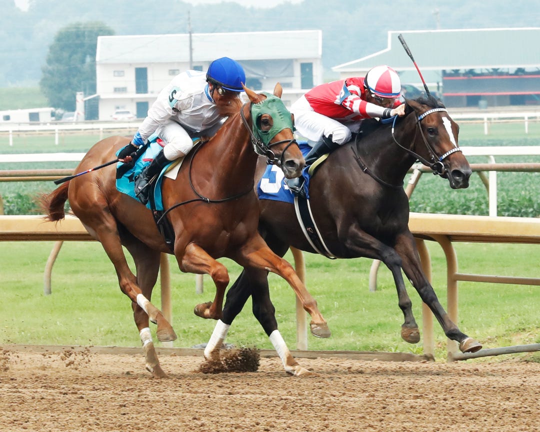 Stairstep to Heaven (left) wins maiden at ELP July 16 2023