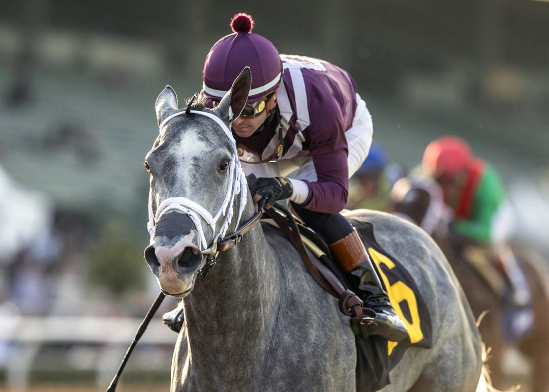 Sweet Azteca wins Beholder Mile at SA March 9 2024