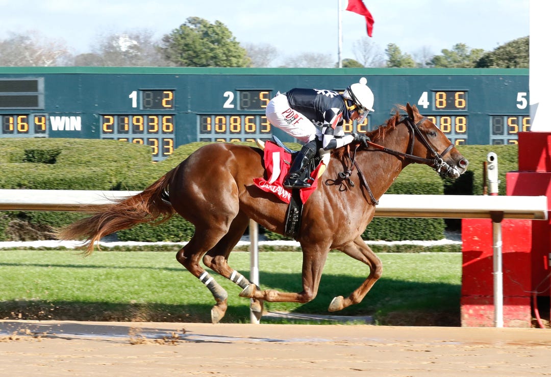 Twenty to Park wins debut at OP Jan 12 2024