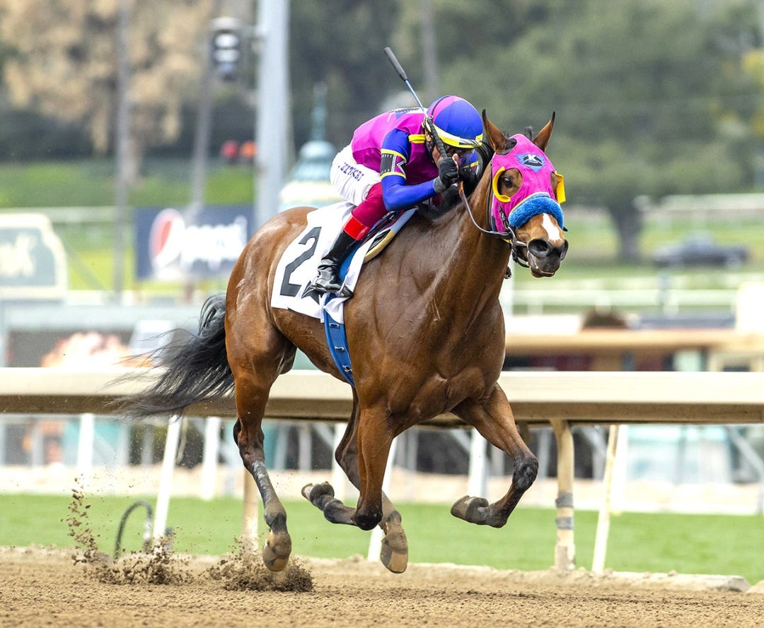 Big Pond wins Spring Fever at SA Feb 18 2024