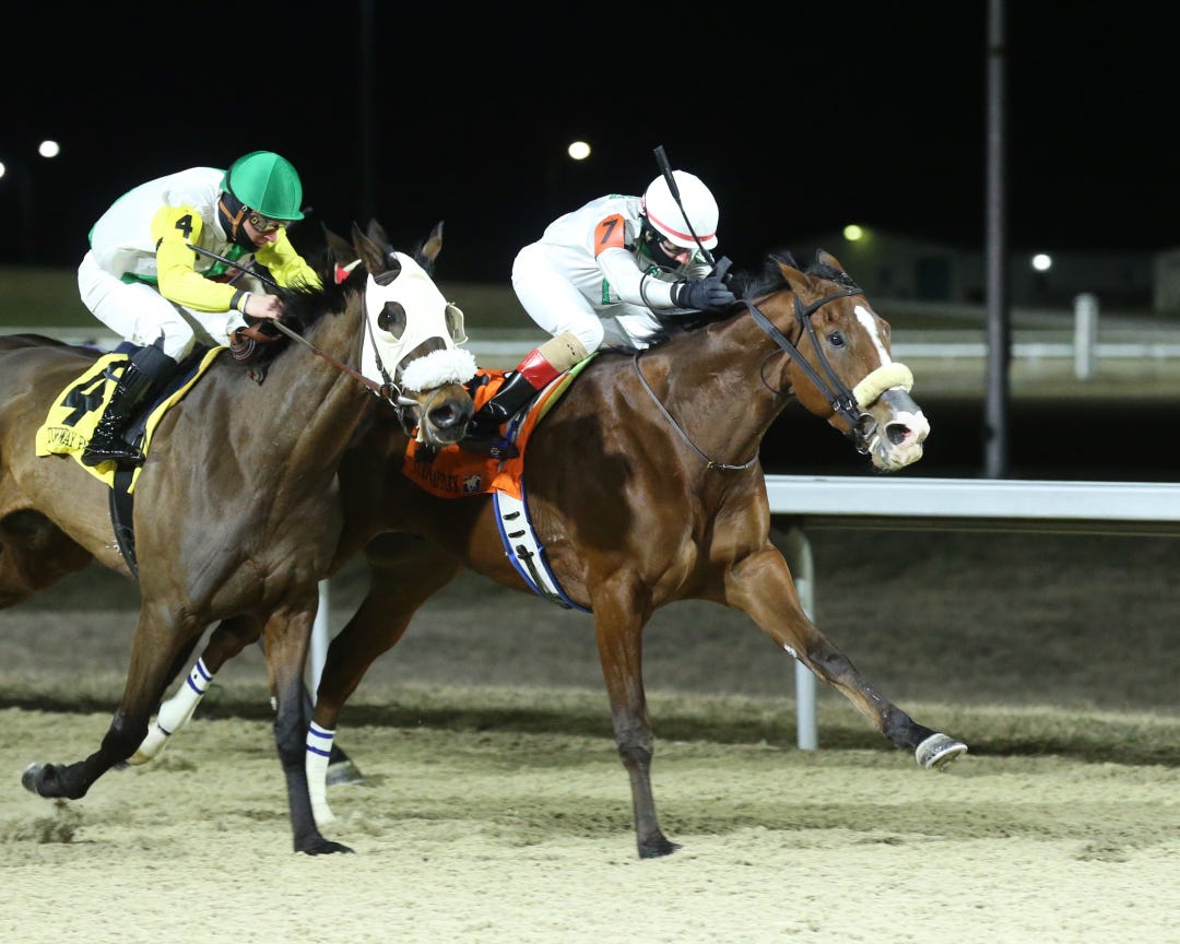 Bless America (right) wins at TP Feb 24 2024